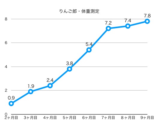 生後9ヶ月が経過 体重はちょっぴり微増中です 柴犬りんご郎ブログ