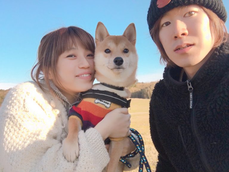 新しい家族 りんご郎がお兄ちゃんになります 柴犬りんご郎ブログ