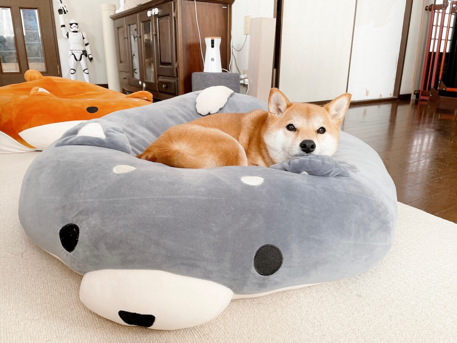 お知らせ しばらくの間ブログをお休みさせて頂きます 柴犬りんご郎ブログ